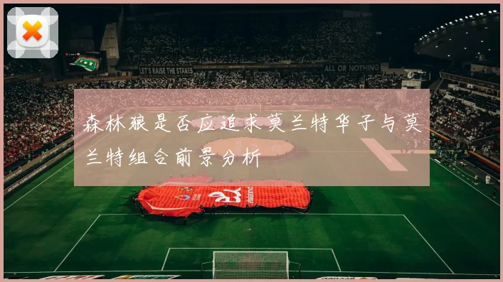 森林狼是否应追求莫兰特华子与莫兰特组合前景分析